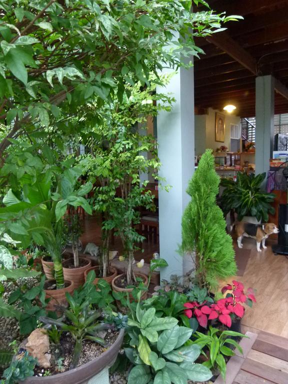 Ban Boonchu Bed & Breakfast Ayutthaya Eksteriør bilde